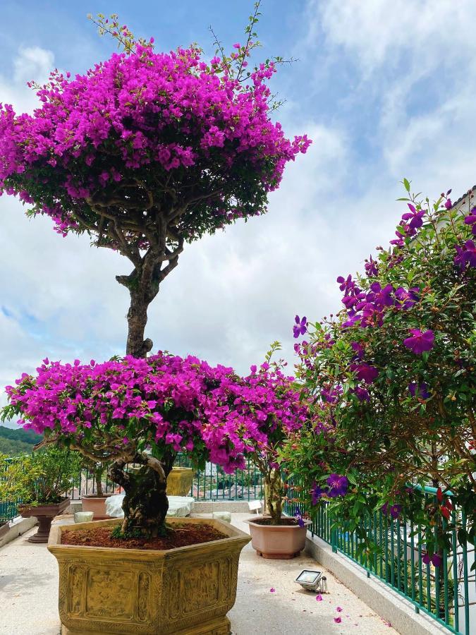 Nang Mai Homestay دالات المظهر الخارجي الصورة